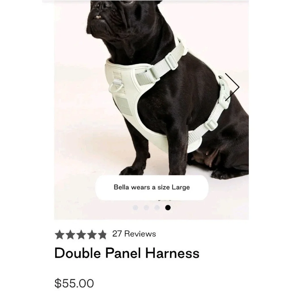 EUC‎ Maxbone L Dog Double Panel Harness Mint Green Adjustable Mesh Line MSRP $55